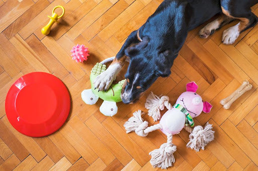 The 5 Best Diy Dog Toys To Make At Home