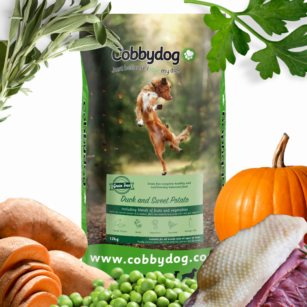 Grain Free Sweet Potato Dog Food For Dogs With Poor Coat Condition photo
