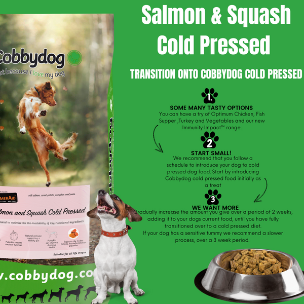 Salmon and Squash Cold Pressed Dog Food