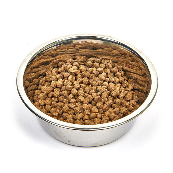 bowl of cobby dogs Premium Puppy dog food
