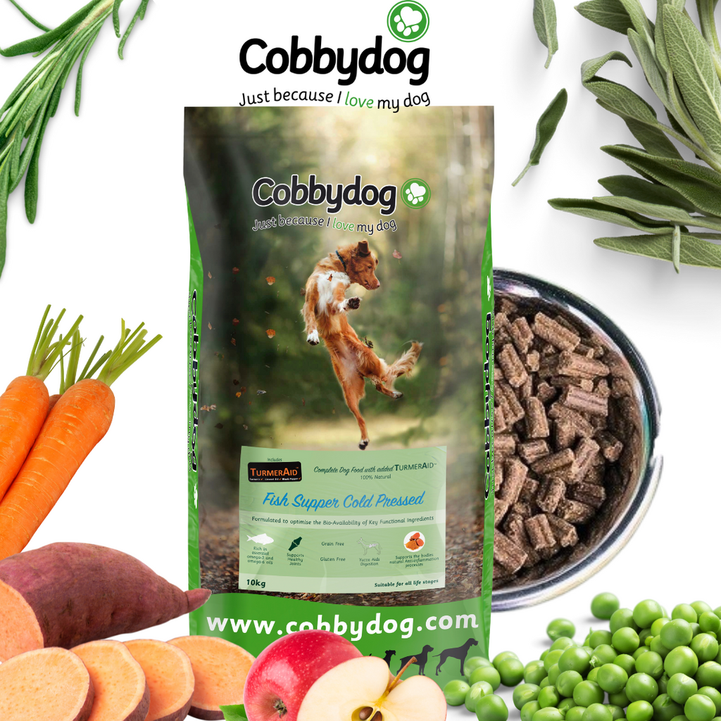 Fish Supper Cold Pressed Dog Food with Turmeraid – Cobbydog