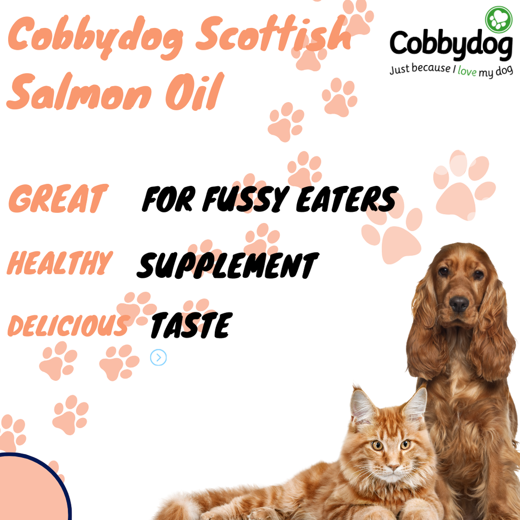 salmon-oil-500ml-cobbydog