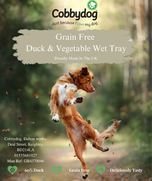 Duck & Vegetable Wet tray ( 4 pack )
