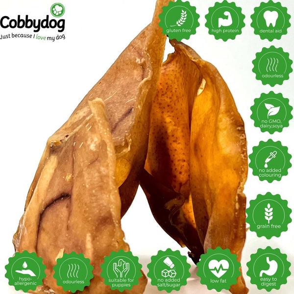 Large Pigs Ears