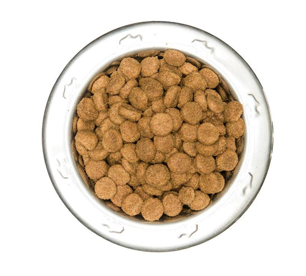 Bowl of Beef and Vegetables dog food