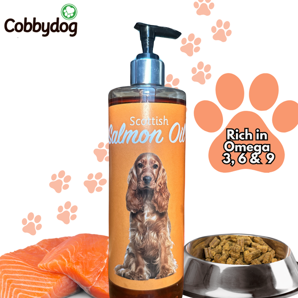 Cheap healthy dog food online