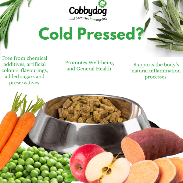 Salmon and Squash Cold Pressed Dog Food