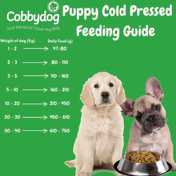 Fish Supper Cold Pressed Dog Food