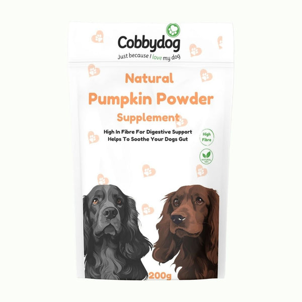 Pumpkin Powder Supplement