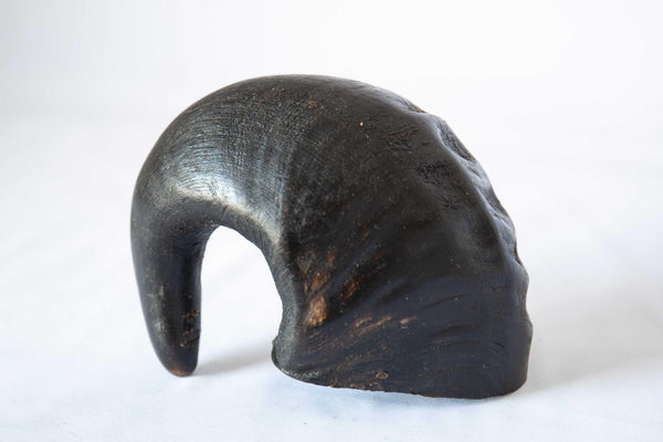 Hollow Buffalo Horns