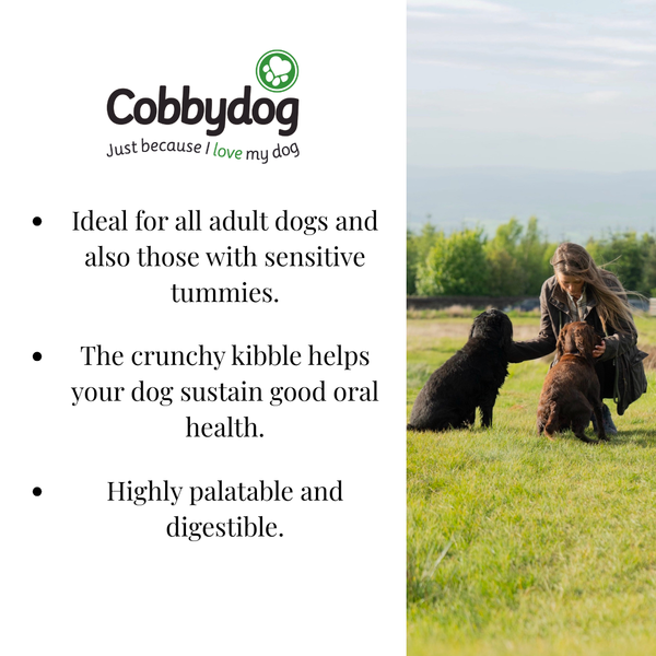 bowl of cobby dogs Wheat Gluten Free Chicken and Rice dog food