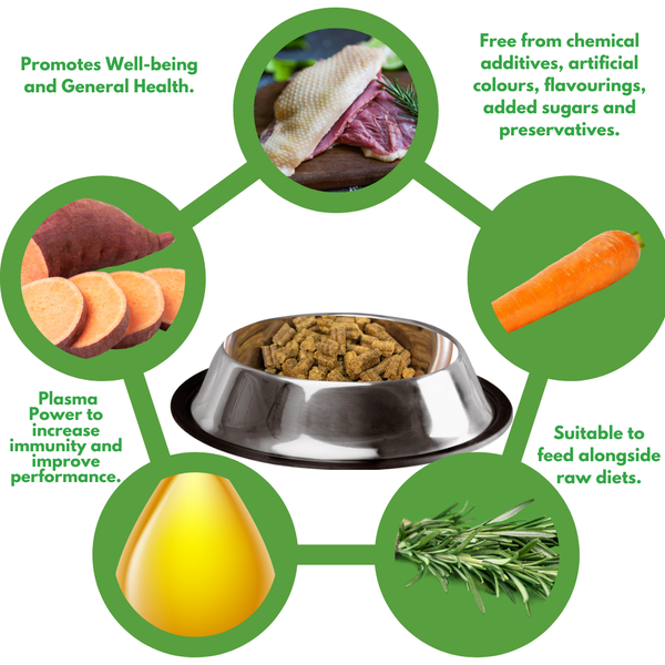 Immunity Impact™ - Duck Dinner Cold Pressed with Plasma