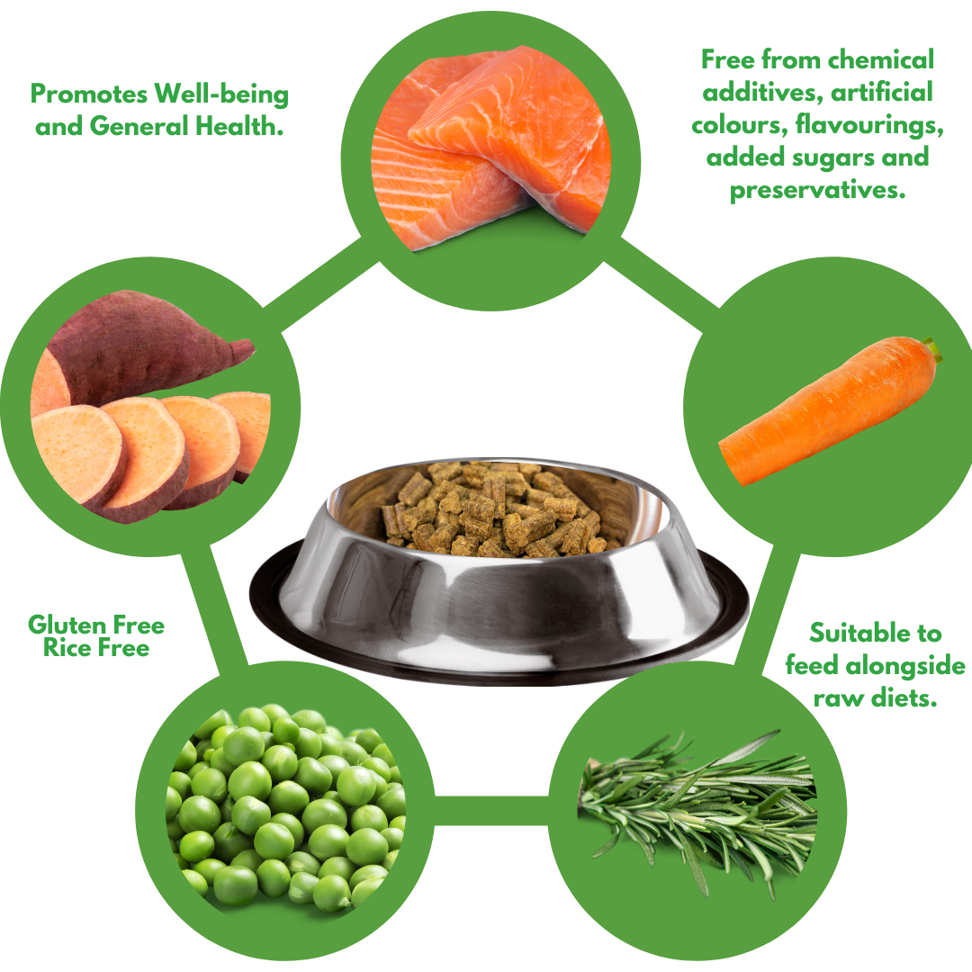 Chemical free dog food 2025