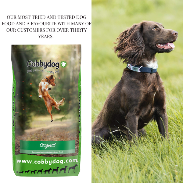 bowl of cobby dogs Original dog food