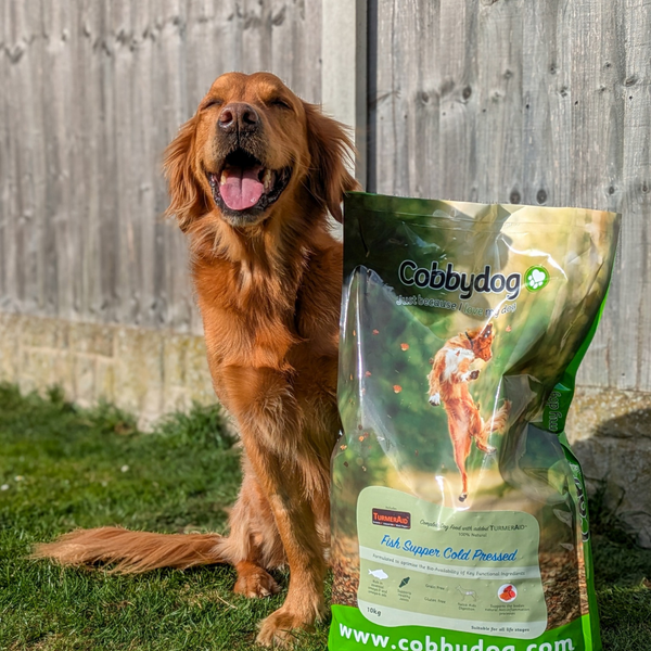 Fish Supper Cold Pressed Dog Food