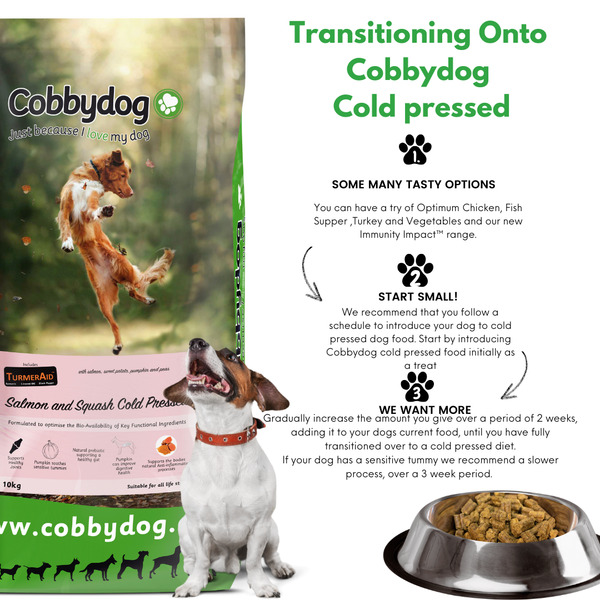 Salmon and Squash Cold Pressed Dog Food