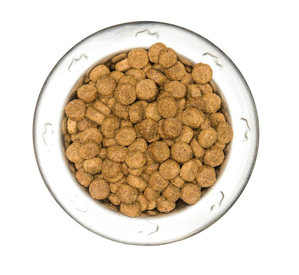 bowl of cobby dogs Wheat Gluten Free Chicken and Rice dog food